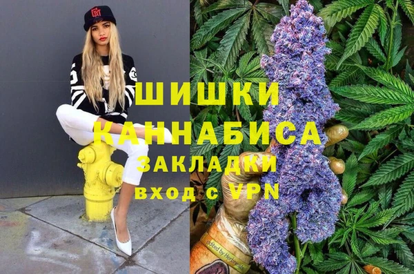 шишки Армянск