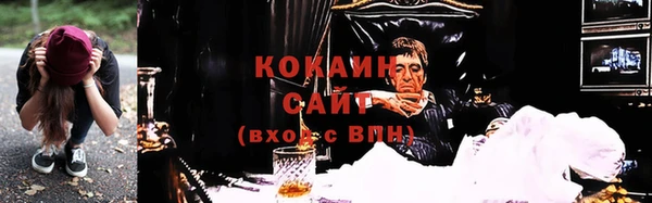 бошки Аркадак
