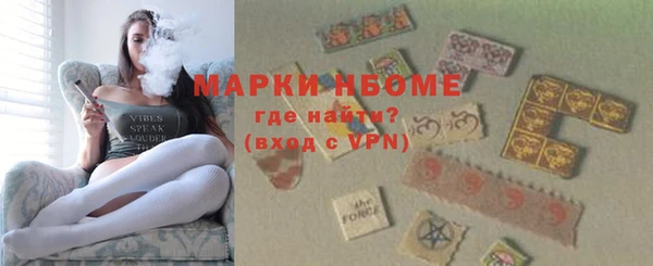твердый Арсеньев
