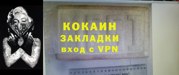твердый Арсеньев