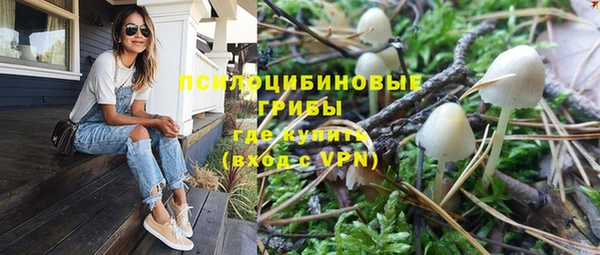 бошки Аркадак