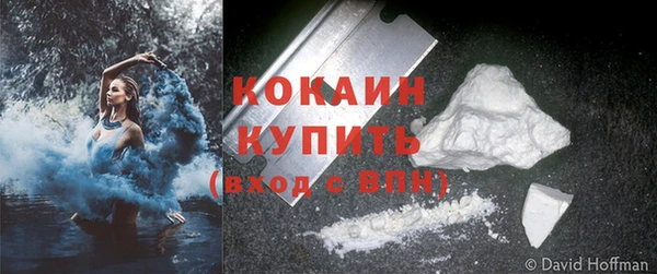 твердый Арсеньев