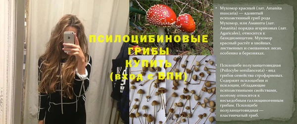 шишки Армянск