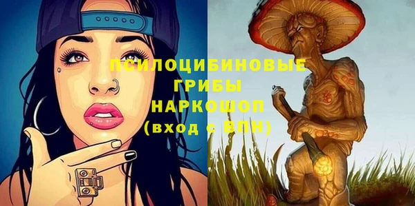 бошки Аркадак