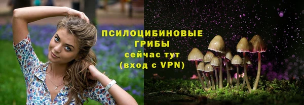 твердый Арсеньев