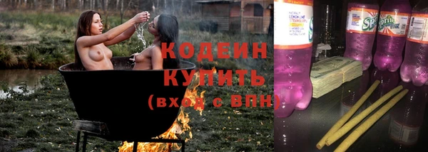 шишки Армянск